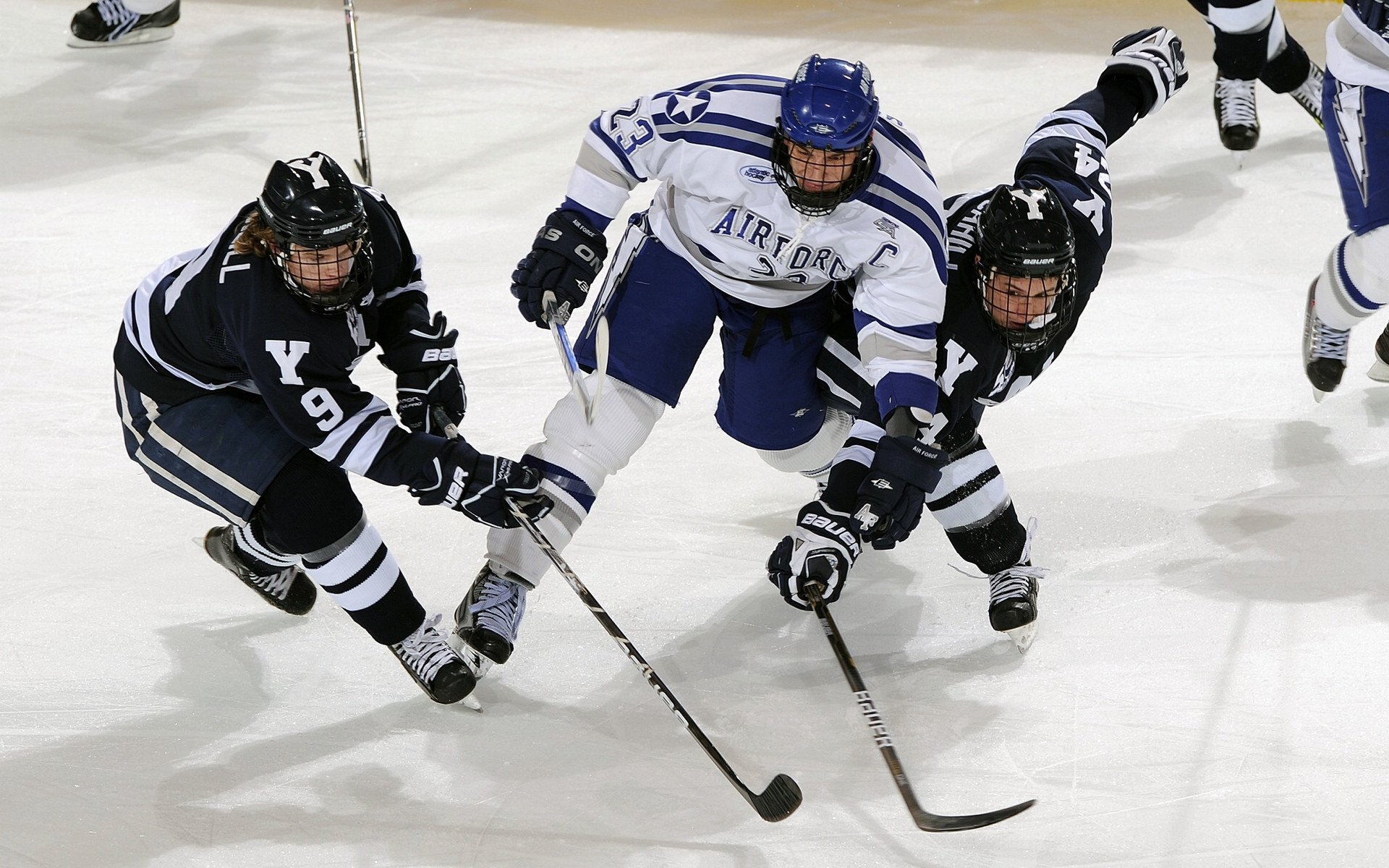 布伦森独木成林,四川队主场碾压山东队
